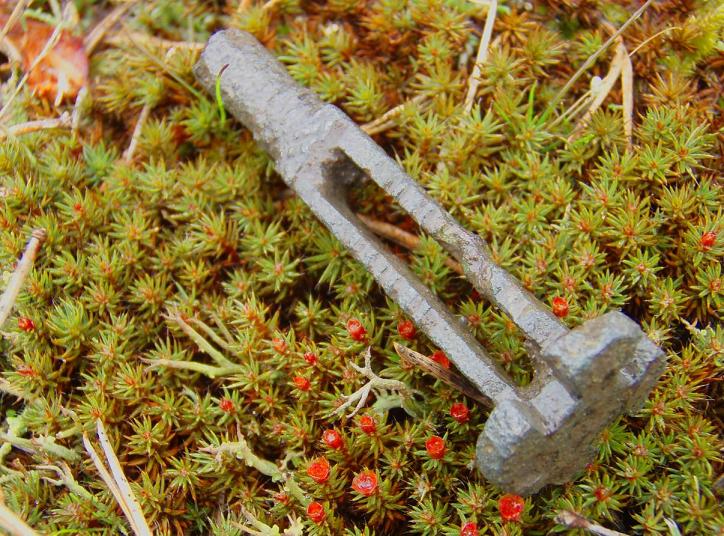 Nøkkel fra Vikingtid funnet av NMF-medlem Trygve Måleng