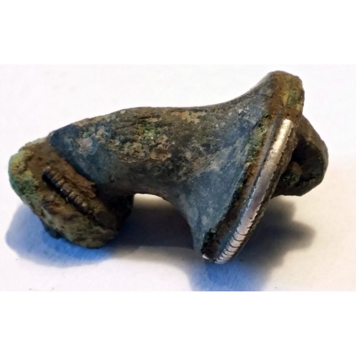 Trompet fibula