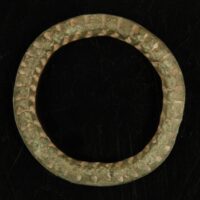 Ringspenne