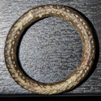 Ringspenne