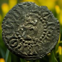 Hvid 1483-1505 Gaute Ivarsson (ɴᴍᴅ1)