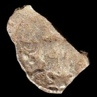 Witten 1379-1387 Friedland