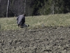 small-1001562