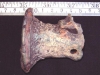 medium_14_21_12_08_8_48_37